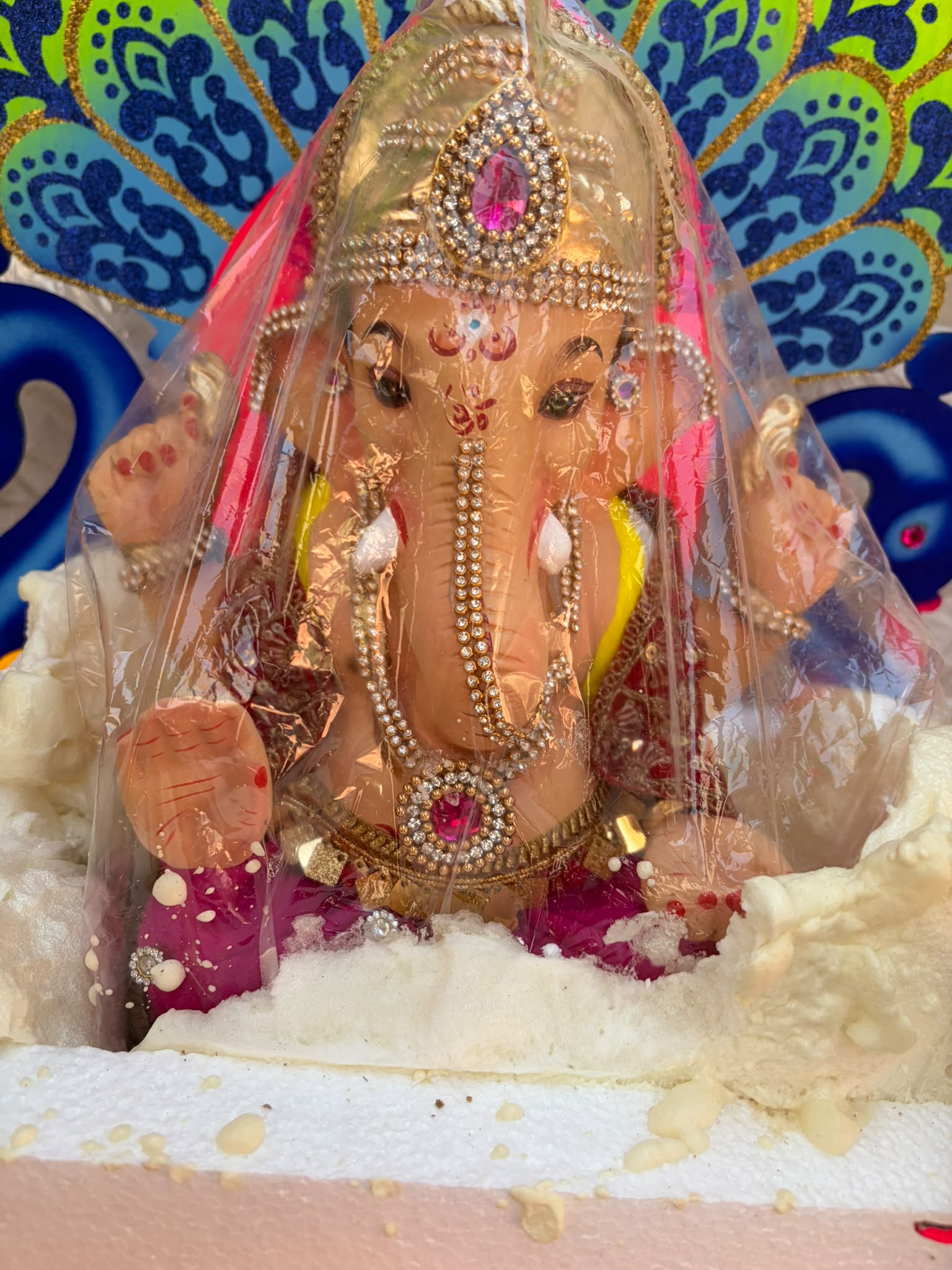 Model 1215 - Dark Pink Pitambar - Sukhasana
