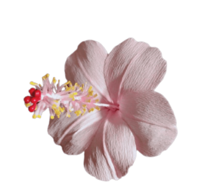 Durva Jaswand Judi (Pink)